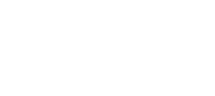 Roamii